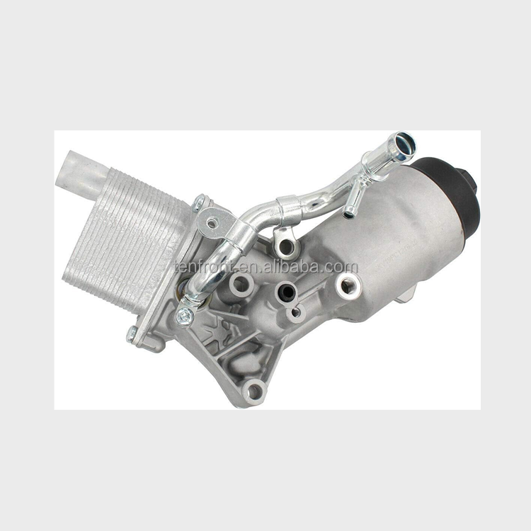55566784 (2).png