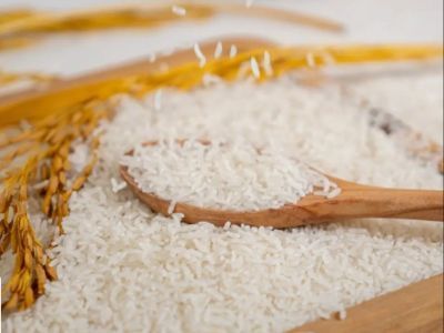 The Market Outlook for Organic Rice Flour Exporters