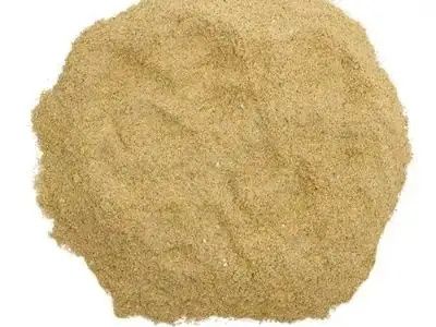 What Are the Key Application Scenarios for Rice Bran in Powdered Food Products?