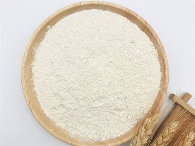 B2B Distribution Channels for Rice Protein Powder