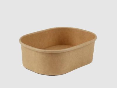 Heavy-Duty vs Standard Paper Tableware Comparison