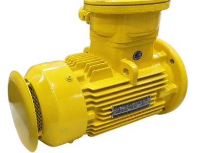 Explosion Proof Electric Motor: IP Rating & Protection Levels