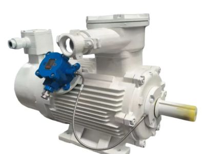 Ex d Motor for Power Plants: High-Temperature Operation