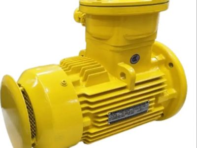 Explosion Proof Electric Motor: Air-Cooled vs. Water-Cooled Systems