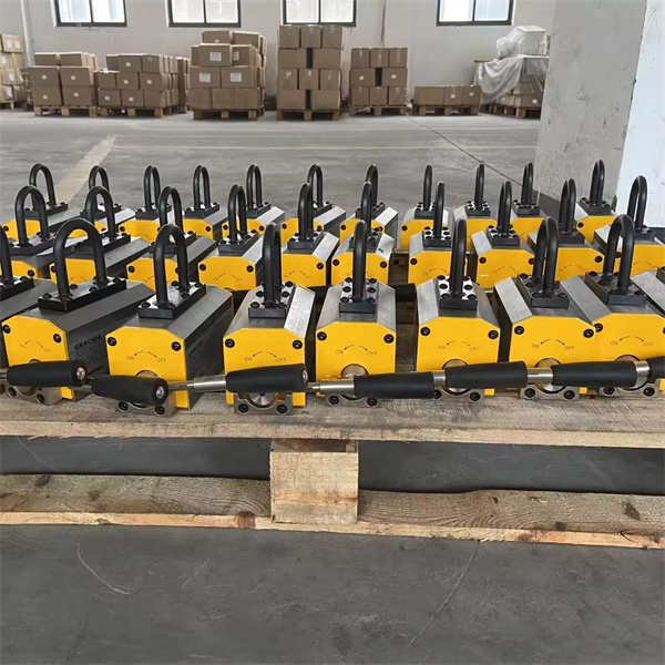 Erleben Sie den Komfort eines 300 kg hebe Magneten
