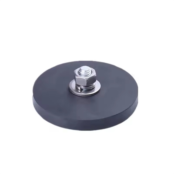 Versatile and practical - magnetic hooks for garage organization