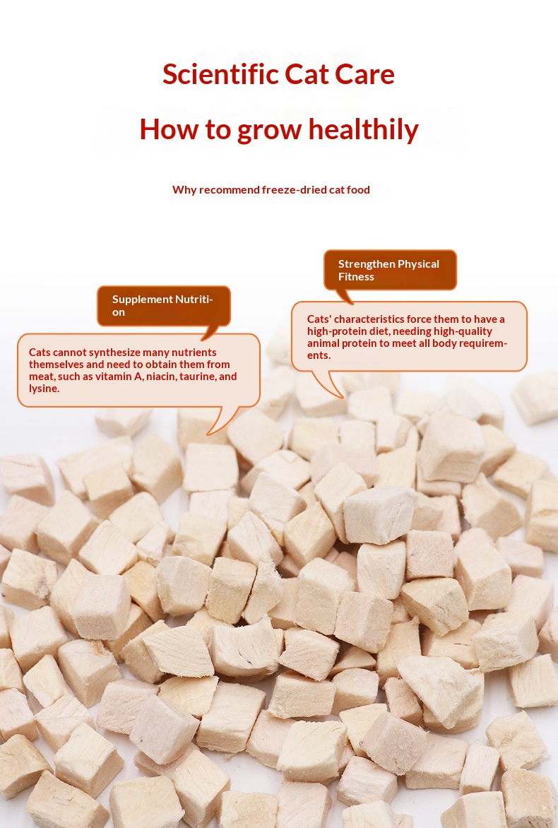 Pet Freeze-Dried Chicken Breast Cat Snacks Weifang Origin Staple Food details