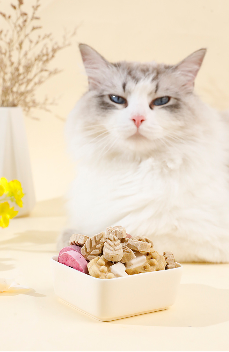 Pet Freeze Dried Cat Snacks Wholesale Separate Packaging Bone Meat Cats Dogs General Fattening Chicken Food details