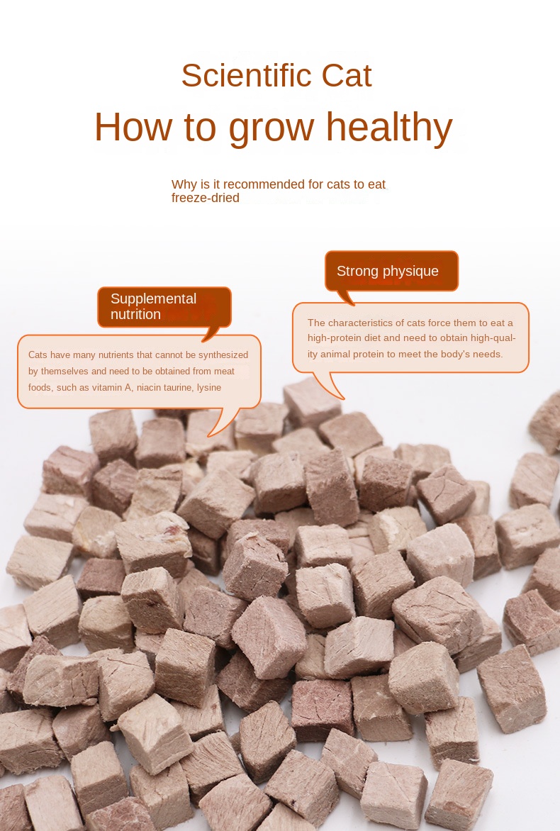 Hot Selling Organic Freeze-Dried Duck Meat Cat Treats Adult High Protein Wholesale OEM Factory details