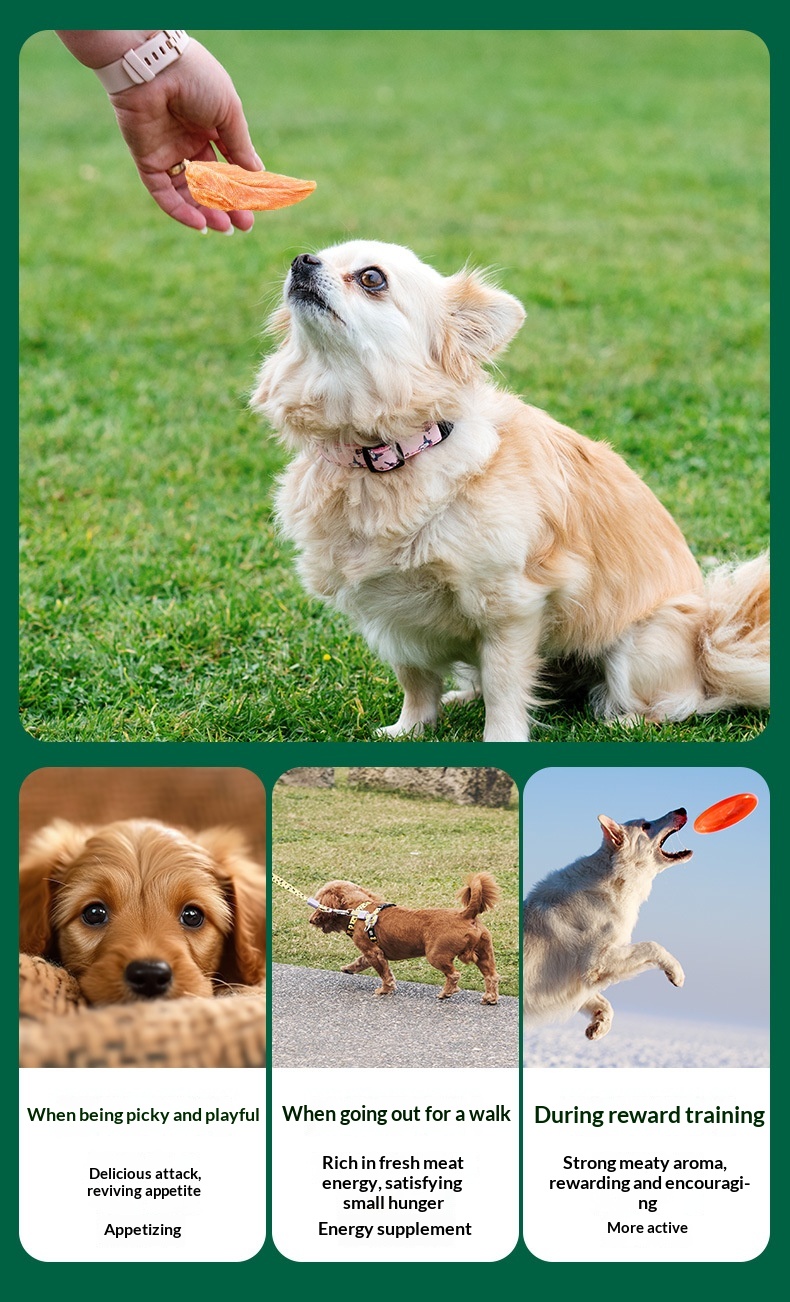 Source Factory Pet Cat Dog Grilled Chicken Dried Training Reward Snacks Grinding Bar factory