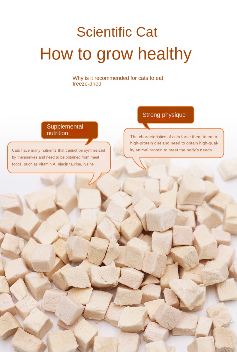 OEM Processing Custom Freeze Dried Pet Snacks with Chicken Duck Quail & Salmon Grains for Chickens Skin & Coat Health factory