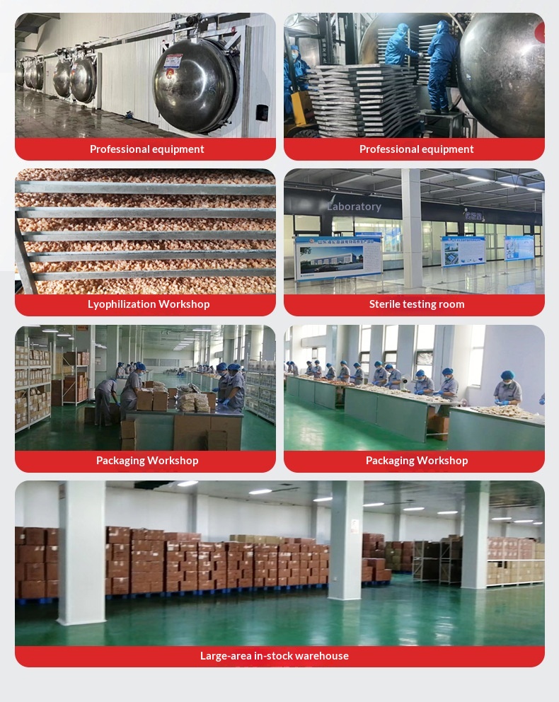 Freeze-dried Chicken Breast Chicken Beef & Duck Meat Pellets 500g Shandong Cat & Dog Snacks supplier
