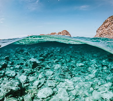 Galapagos, Ecuador Best Diving Season: Local August - September