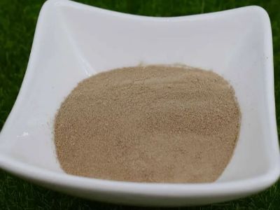 Salah sahandap produsen bubuk besi