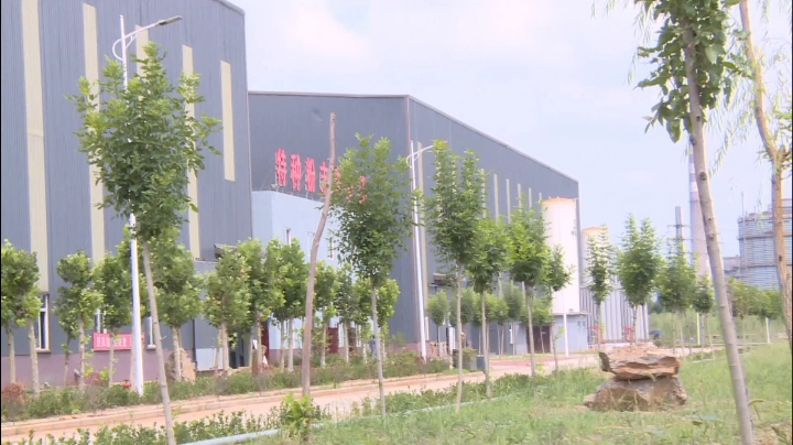 High-Purity Friction Type Iron Powder details