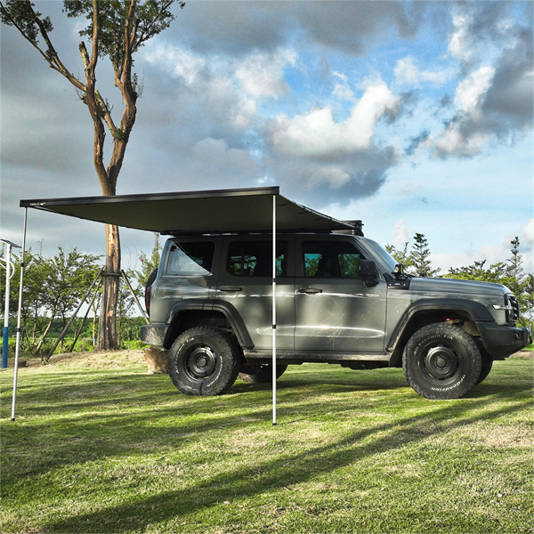 Ahorra Espacio y Tiempo con una Pérgola Fácil de Usar para Tu Coche
