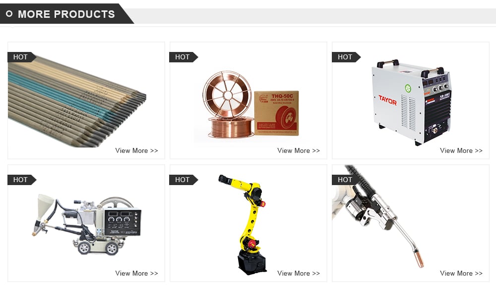 Good Reputation High Quality Tig Machine Torch Welding Robot Price details