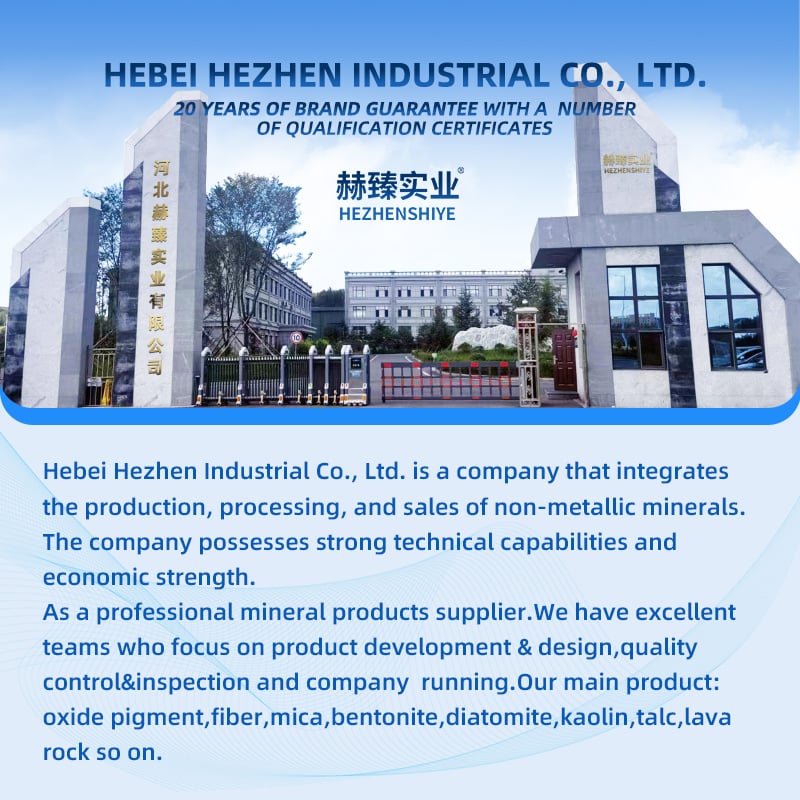 Company overview