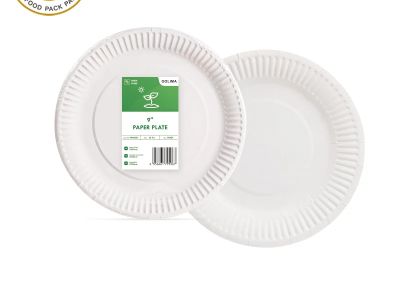 The Role of Paper Plates in High-Volume Catering