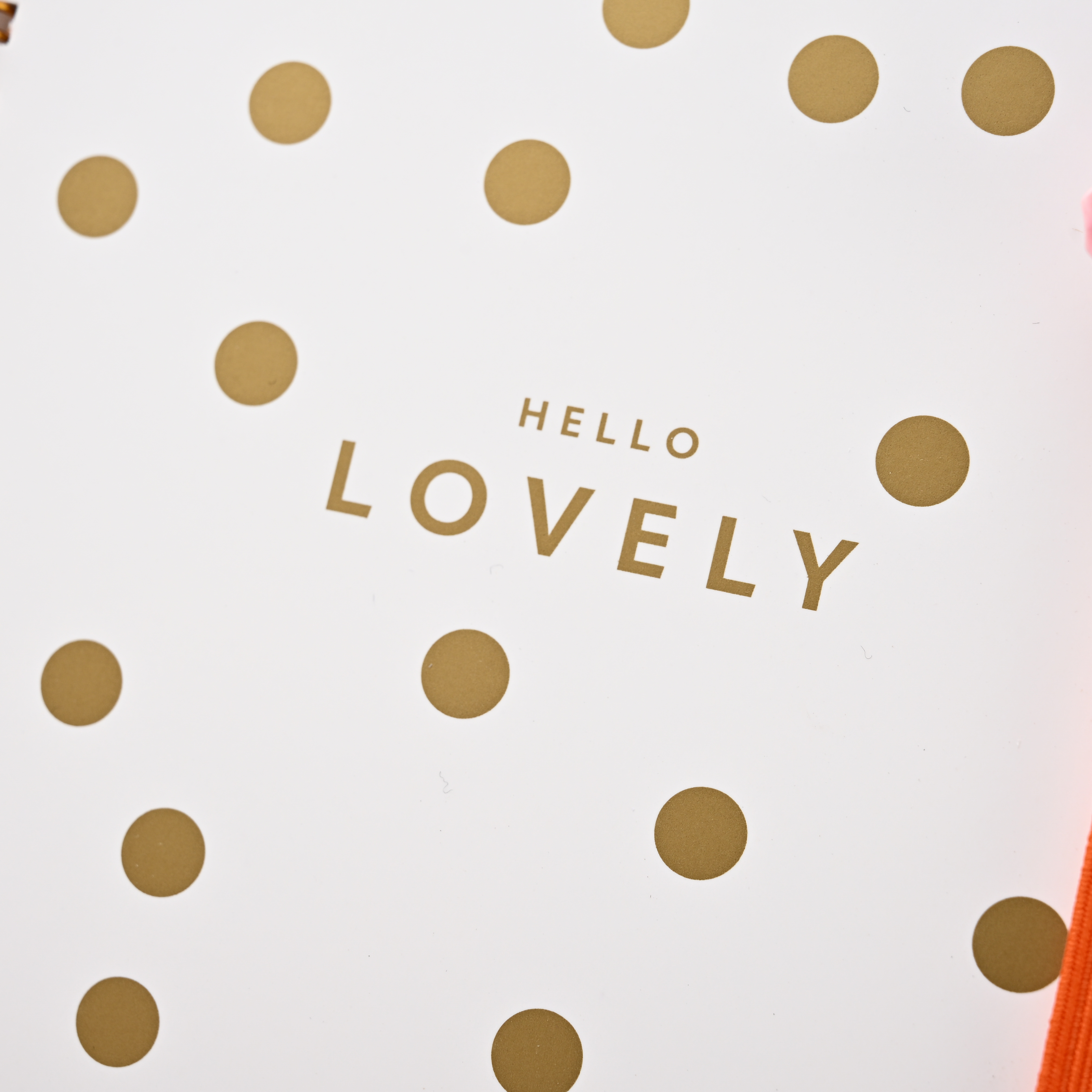 product cross border exclusive english notebook a5 coil calendar book for 2026 plan work record schedule book-8