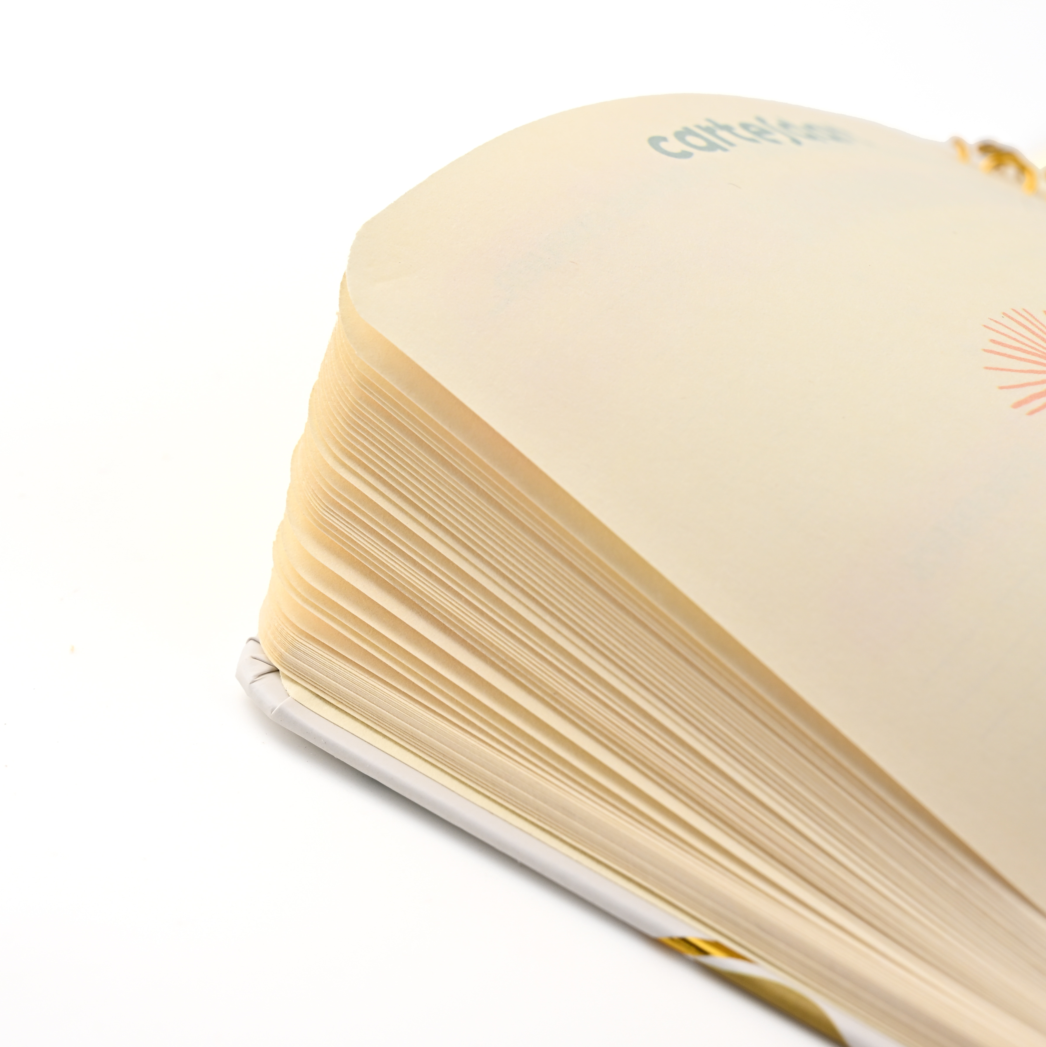 product low moq custom high quality new design a4 a5 thick wire o spiral notebook-11