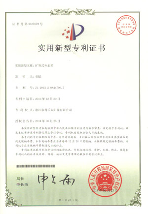 patent2