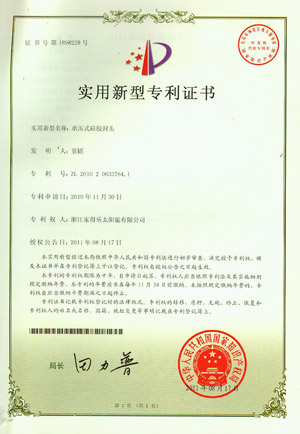 patent31