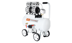 FVN-180V 600W 220V 160 L/min negative pressure oilless vacuum pump with 20L air tank for rubber molding machine details