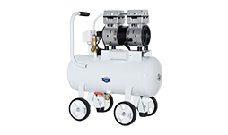 FVN-180V 600W 220V 160 L/min negative pressure oilless vacuum pump with 20L air tank for rubber molding machine details