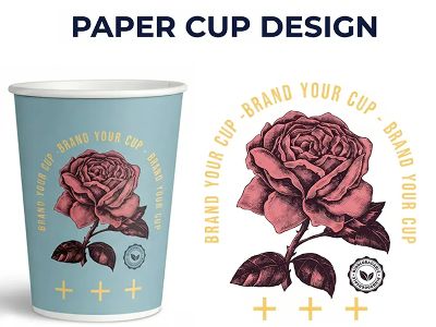 Analysis of Paper Cup Lid Materials