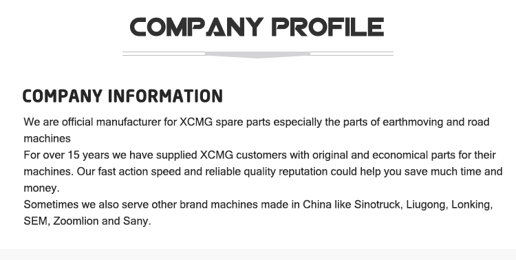 XCMG Wheel Loader LW500FN ZL50G ZL50GN Wheel Loader Engine Assembly for ZL50NC factory