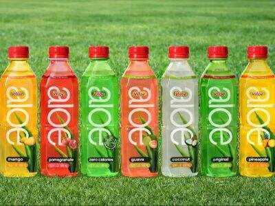 Benefits of Partnering with a Professional Aloe Vera Drinks Factory