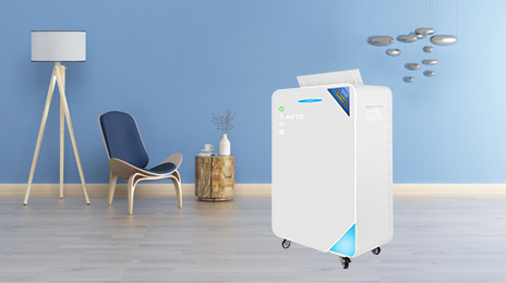 High Quality Electric Home Air Purifier HEPA Filter Portable Negative Ionizer Machine Large Manufacturer's Little Generator for manufacture