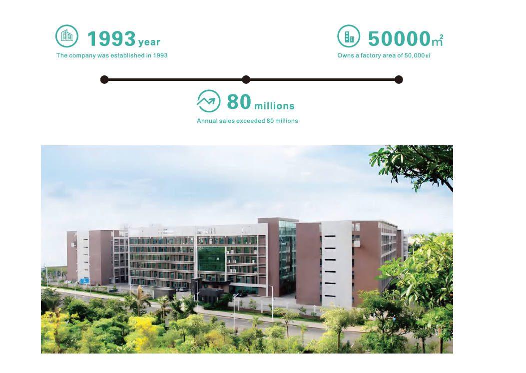 Company overview