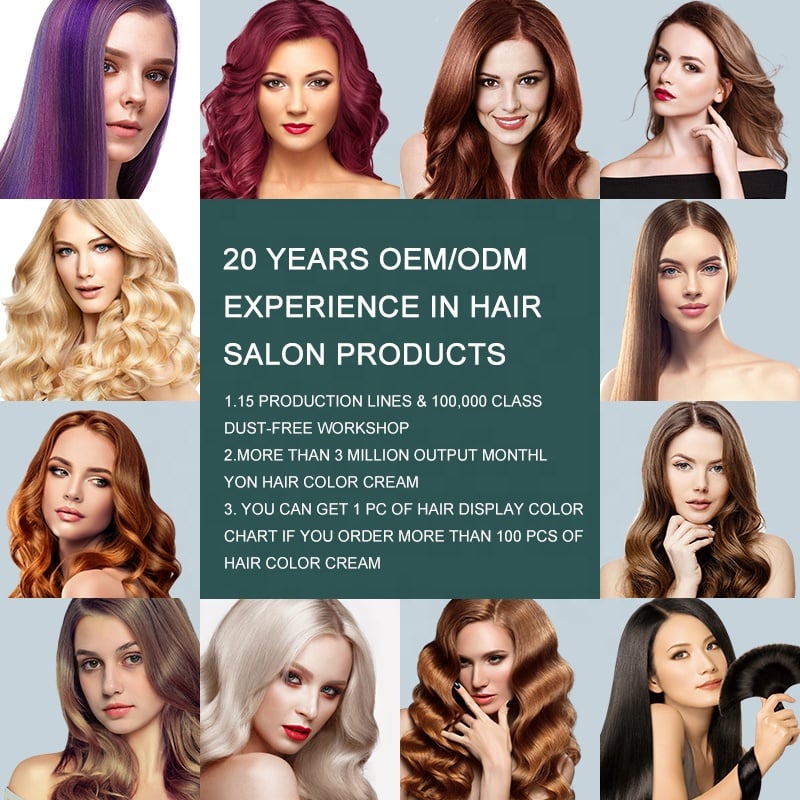 Wholesale Price Hot Selling Products Blonde Light Grey Silver Permanent Hair Dye Color Cream Unisex Professional Salon Use factory