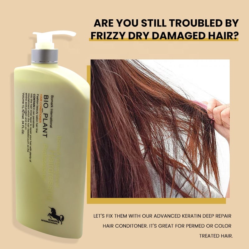 Wholesale Price Hair Care Products Anti-Dandruff Oil-Control Argan Oil Sulphate Free Shampoo And Conditioner factory