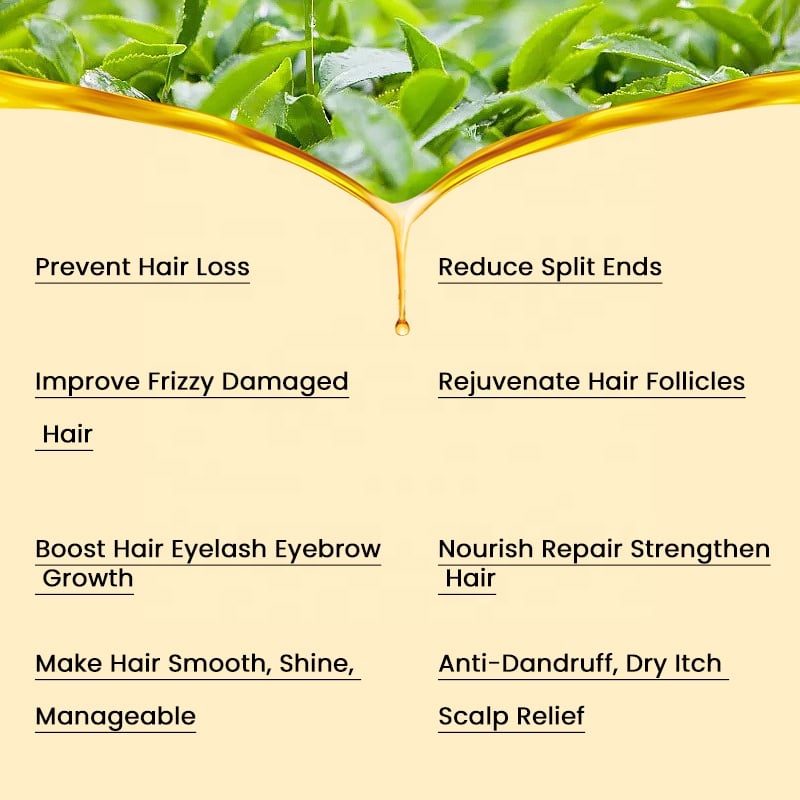 Private Label 100% Argan Oil of Morcoco Hair Serum Deeply Nourished the Split Ends and Damaged Dry hair manufacture