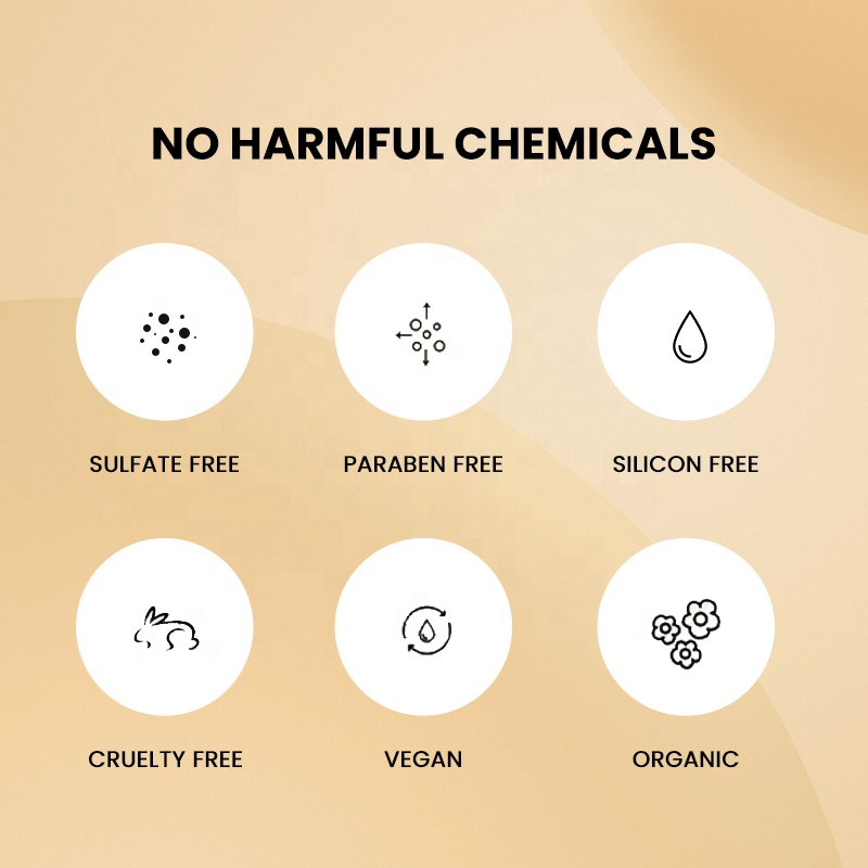 BIOPLANT 300ml 500ml 1000ml Herbal Anti Dandruff Loss Hair Growth Treatment Refreshing Sulphate Free Shampoo And Conditioner Set factory