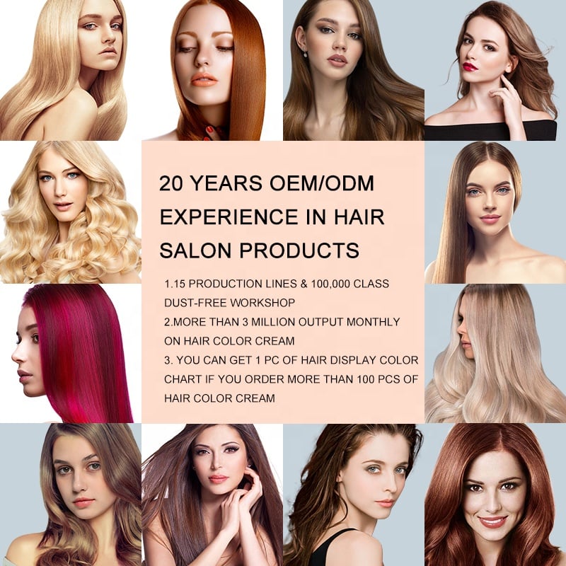 OEM Private Label AIMEI Professional Salon Low Ammonia Dark Blonde hair Dyeing Herbal Hair Dye Color Cream Permanent Coloring supplier