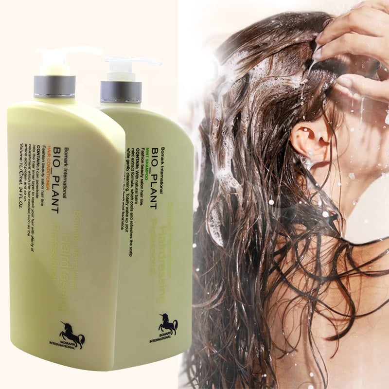 Wholesale Price Hair Care Products Anti-Dandruff Oil-Control Argan Oil Sulphate Free Shampoo And Conditioner manufacture