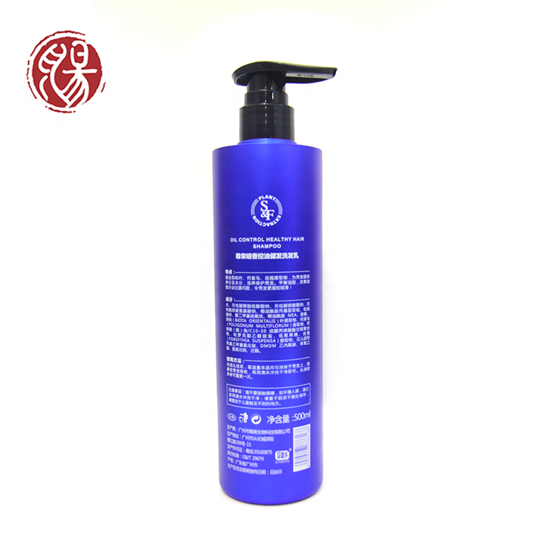 Wholesale Price Private Label Hot Selling Perfume Anti-dandruff and Anti-itching Shampoo Professional Salon Use factory