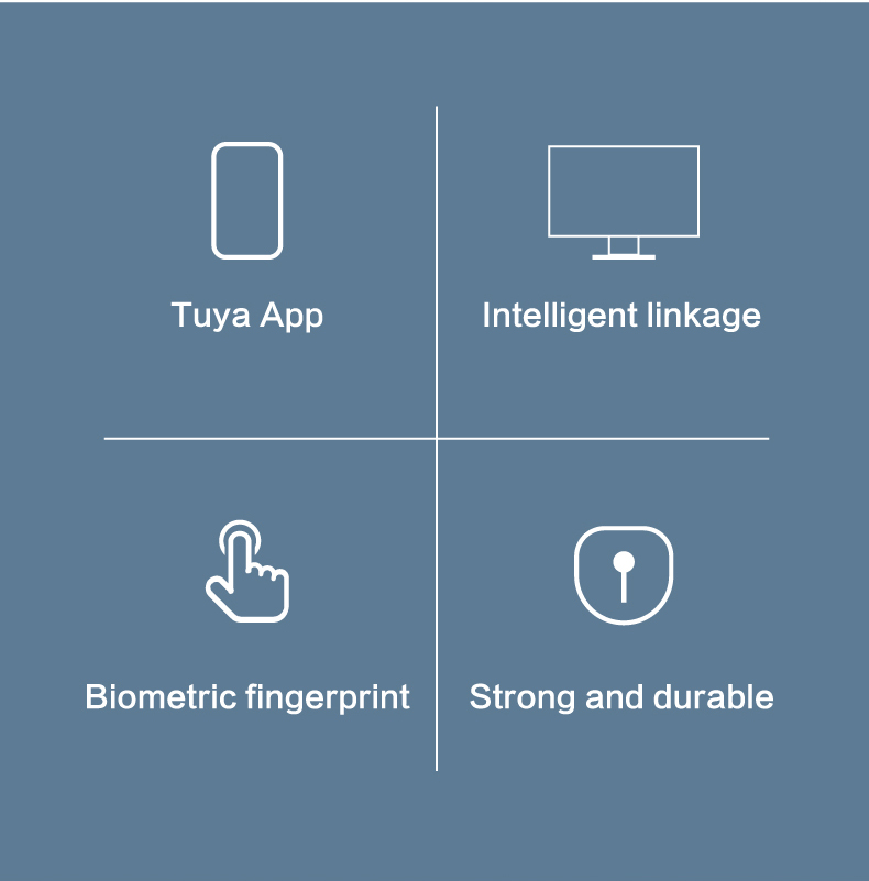 A1 Tuya smartlock wifi zigbee Networking smart lockAP Popen lock supplier