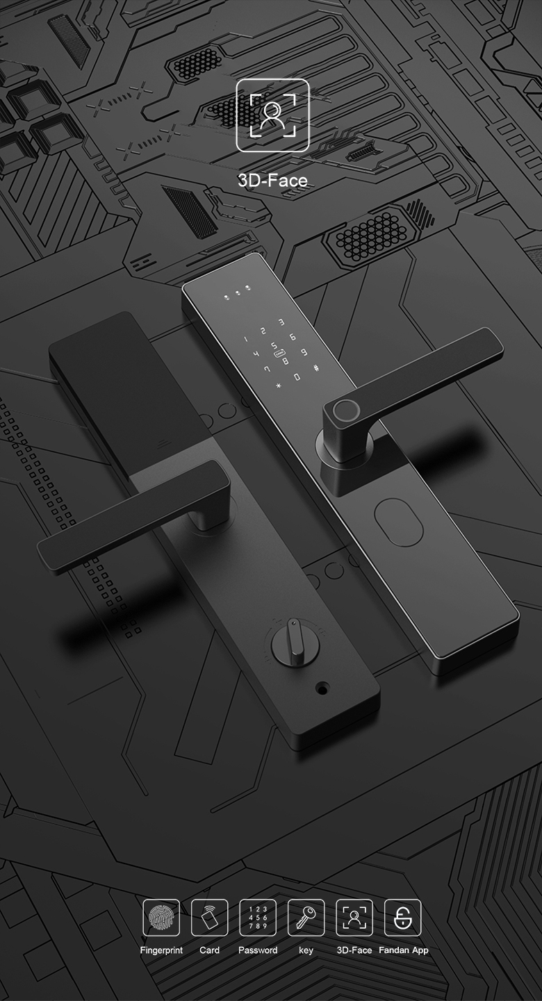 A2 3D Face door lock Apartment shared office smart door lock supplier