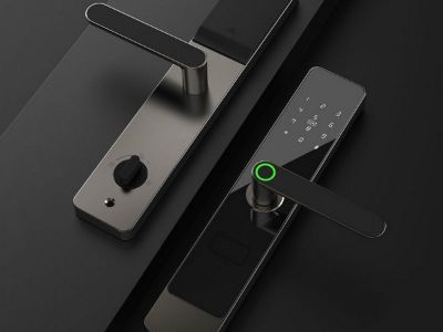 The Password Recovery Function of Door Locks: Coping with Forgotten Passwords