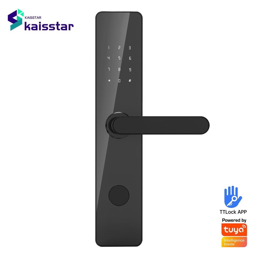 FH02  Hotel apartment combination lock swipe card lock TTlock