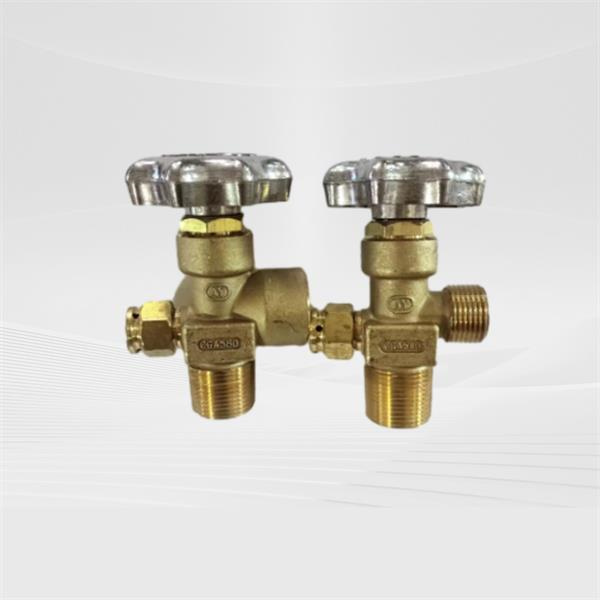 Compatibility with Different Gas Types