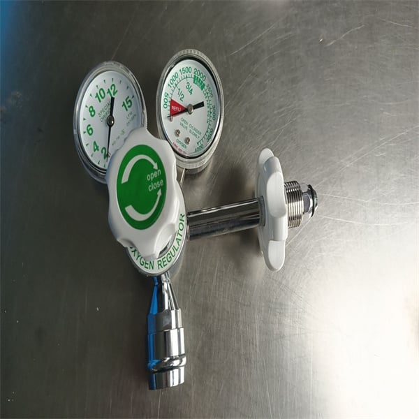 Customizable Regulator Options to Suit Your Business Needs