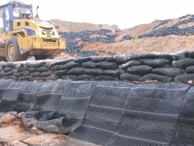 What is geogrid
