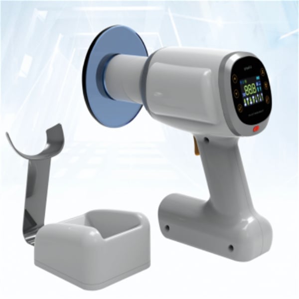 Comprehensive Training and Support for Seamless Integration