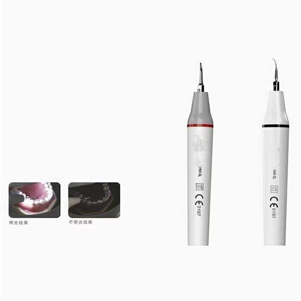 Scalers Help Eliminate Harmful Bacteria